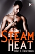 Steam_Heat_4edcf421258a8.jpg